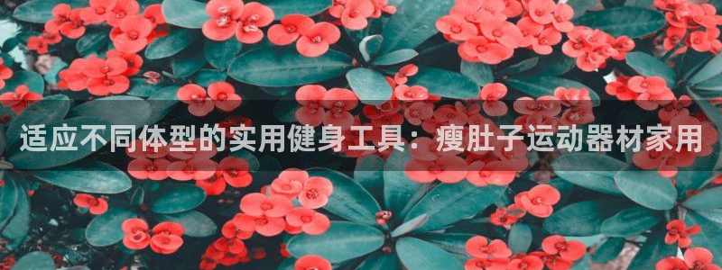 yy易游体育官网下载官方客服电话：适应不同体型的实用