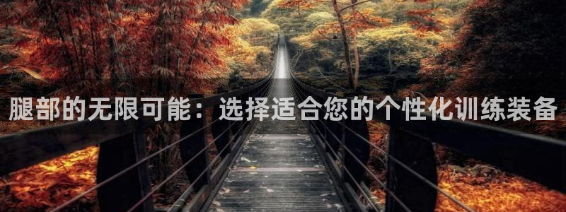 yy易游体育官网下载：腿部的无限可能：选择适合您的个