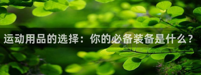 yy易游体育官网下载招商电话是多少：运动用品的选择：你的必备