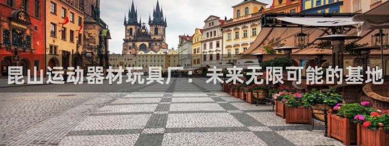 yy易游体育官网下载招商电话号码：昆山运动器材玩具厂：未来无