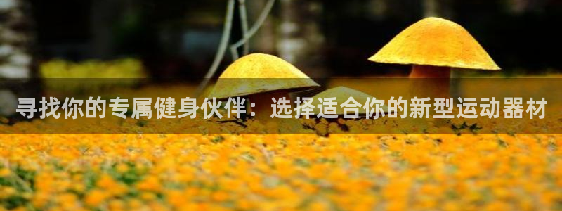 yy易游体育官方正版app娱乐40996：寻找你的专属健身伙