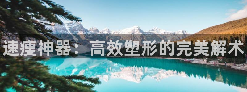 yy易游体育官方正版app五金厂：速瘦神器：高效塑形的完美解