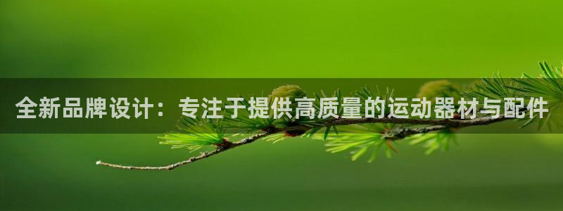 yy易游体育官方正版app集团logo：全新品牌设计：专注于